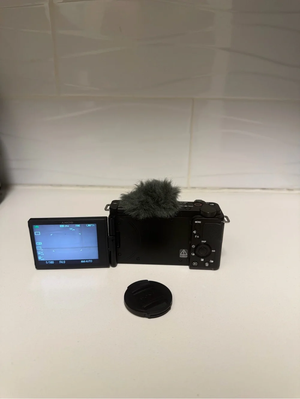 Sony Black Mirrorless Camera with Lens and Gray Wind Muff
